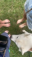 img-20240628-wa0010