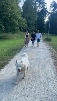 img-20240719-wa0017