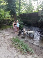 img-20240719-wa0019