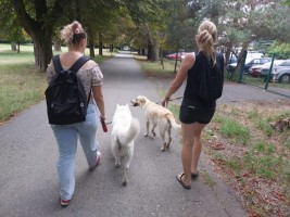 img-20240720-wa0057