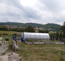 zahrada-sklenik