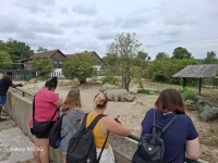 img-20240804-wa0019