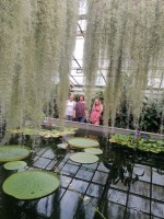 img-20240627-wa0004