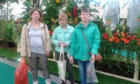 flora--2-
